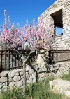 Jardin Venezia vente de notre maison d'hote - gite - à vendre avec piscine à Perpignan (11).webp